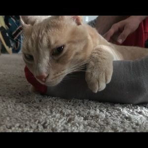 Meet your Posher, Jared